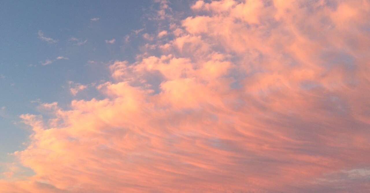 Bonnie Pinkと歩んだ22年 さより 4コマ 文章 時々イラスト Note