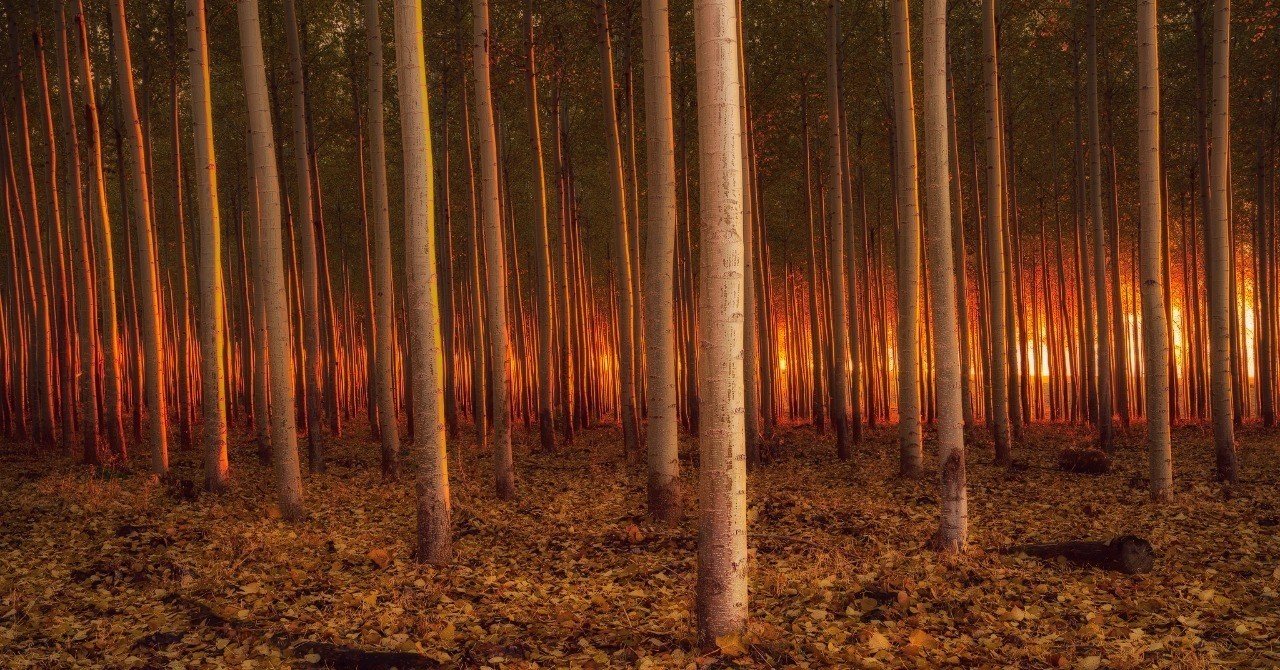 Noteはじめました 風景写真家におすすめの写真集紹介 斎藤 朱門 Shumon Saito Landscape Photographer Note Noteはじめました 風景写真家におすすめの写真集紹介 斎藤 朱門 Shumon Saito Landscape Photographer Note