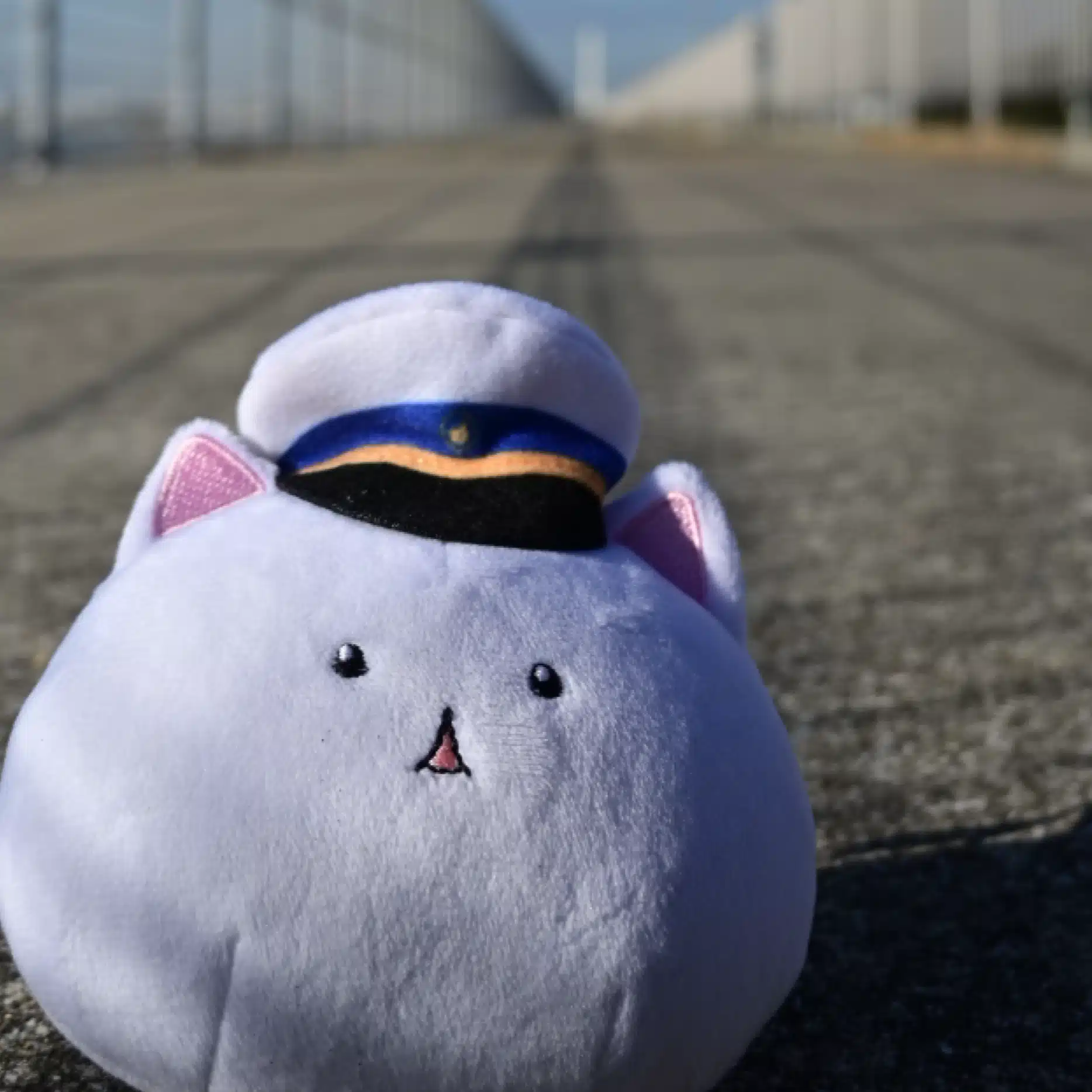 ゆゆ