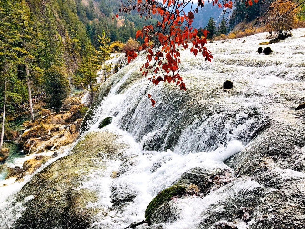 世界自然遗产九寨沟｜悠和（日中翻译）