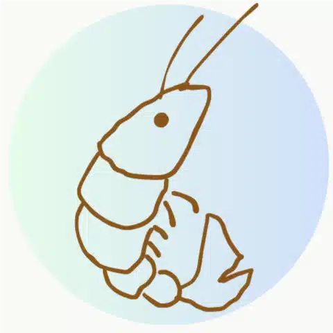 くいたろう