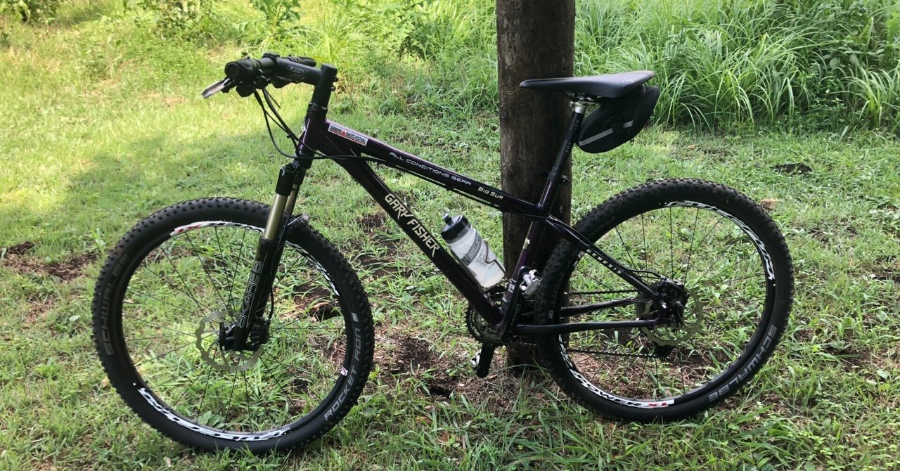 マウンテンバイク黎明期 ゲイリー・フィッシャー ビッグサー ｜（花鳥