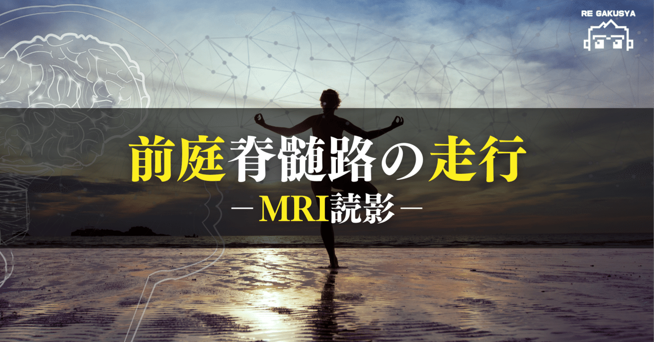 希少 洋書 生殖の神経制御 生理と行動 希少 洋書 生殖の神経制御 生理と行動 精神科Resident 2025年