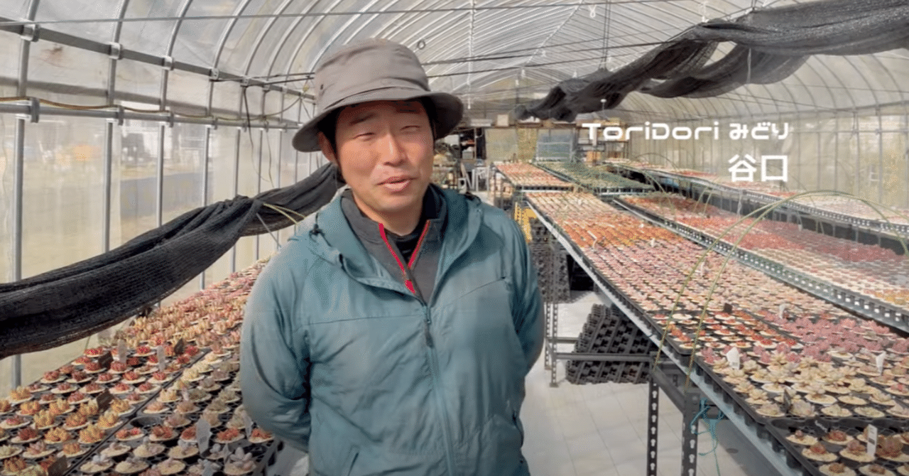 世界の希少な多肉植物を集める「ToriDoriみどり」｜midoritoridori