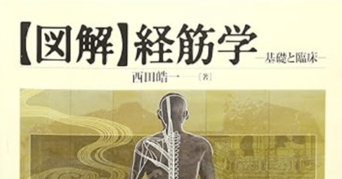 【図解】経筋学 基礎と臨床 西田皓一 東洋学術出版社 図解〉経筋学: 基礎と臨床 | 西田 皓一 |本 | 通販 | Amazon