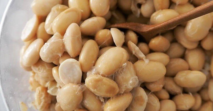 EH-D417 元気三役　発芽玄米 ヨーグルト 納豆 EH-D417 元気三役 発芽玄米 ヨーグルト 納豆