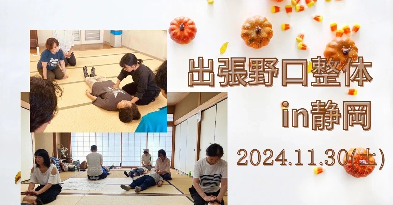 出張野口整体in静岡2024.11｜晃天整体指導室 滝口晃帆