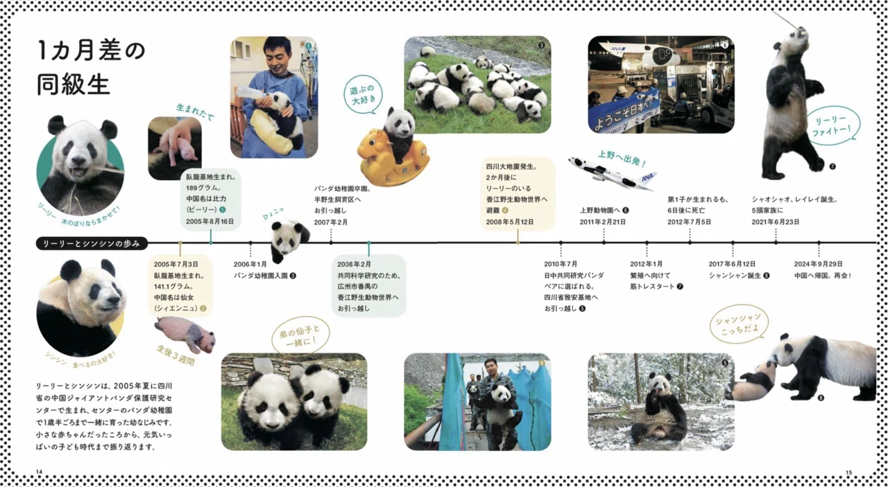ミニフォトブック『ずっと一緒 リーリーとシンシン』好評販売中