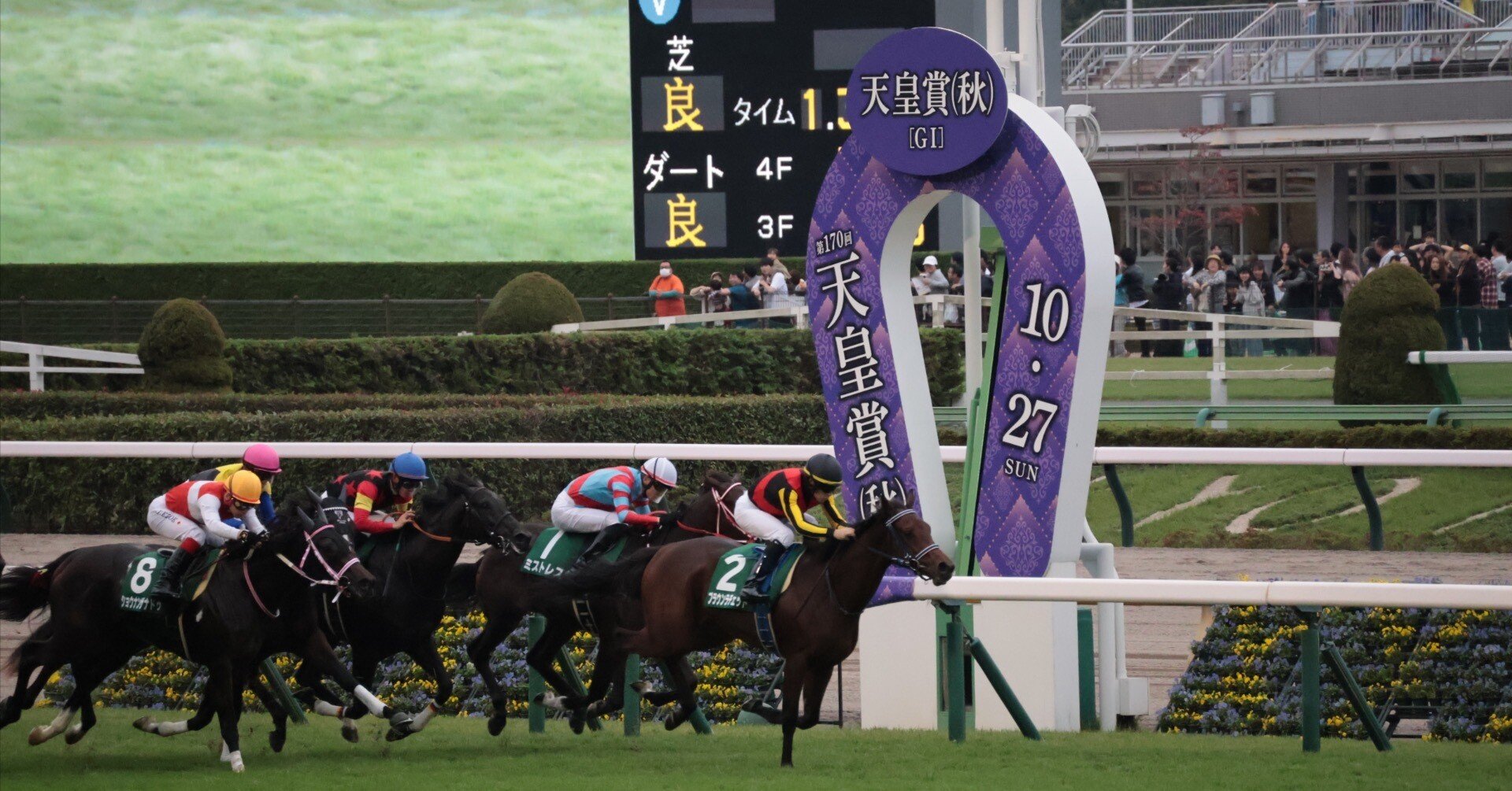 見てるかイクイノックス！去年がスポーツの最高峰なら今年は