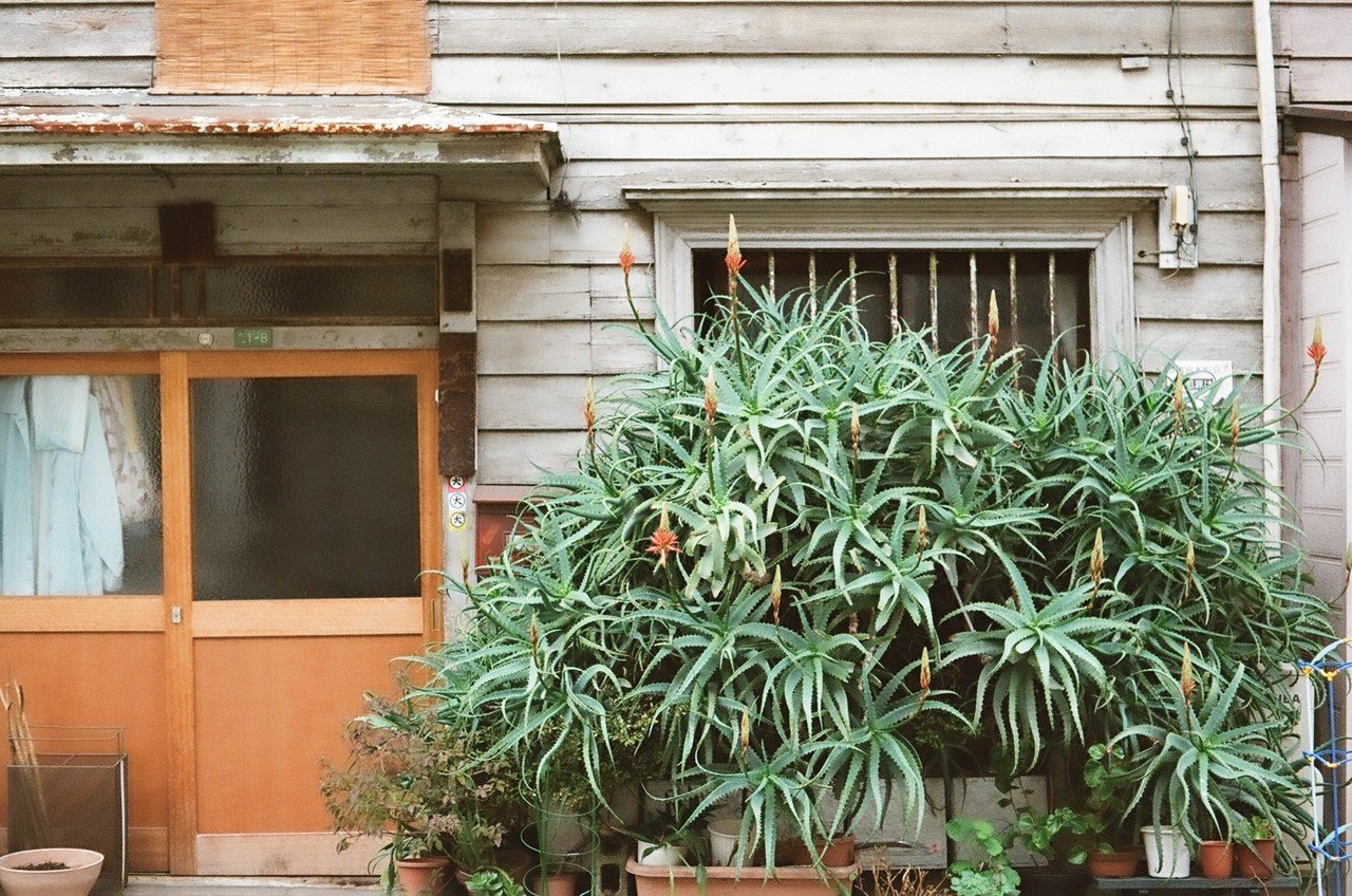 Voigtländer Vito IIa - フィルムカメラレビュー その2｜Hisa Foto