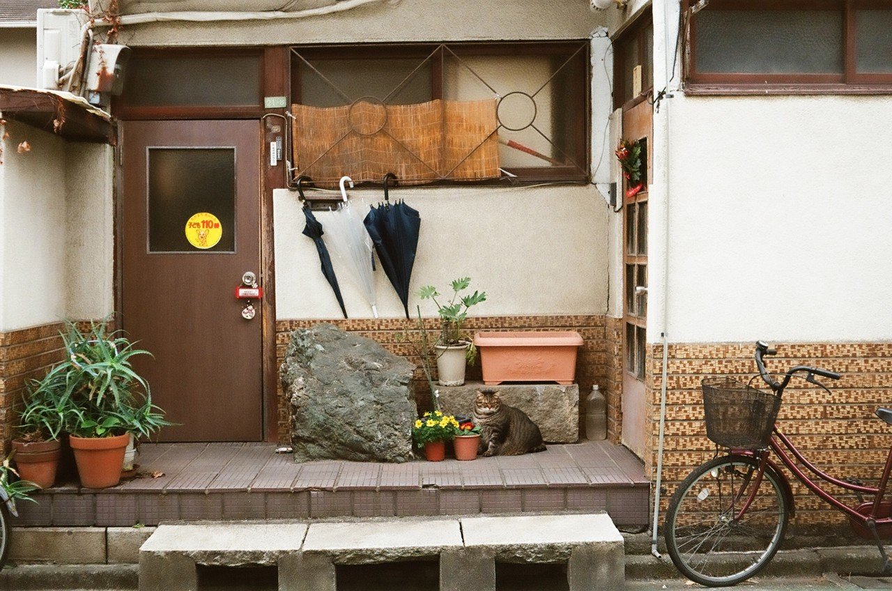 Voigtländer Vito IIa - フィルムカメラレビュー その2｜Hisa Foto