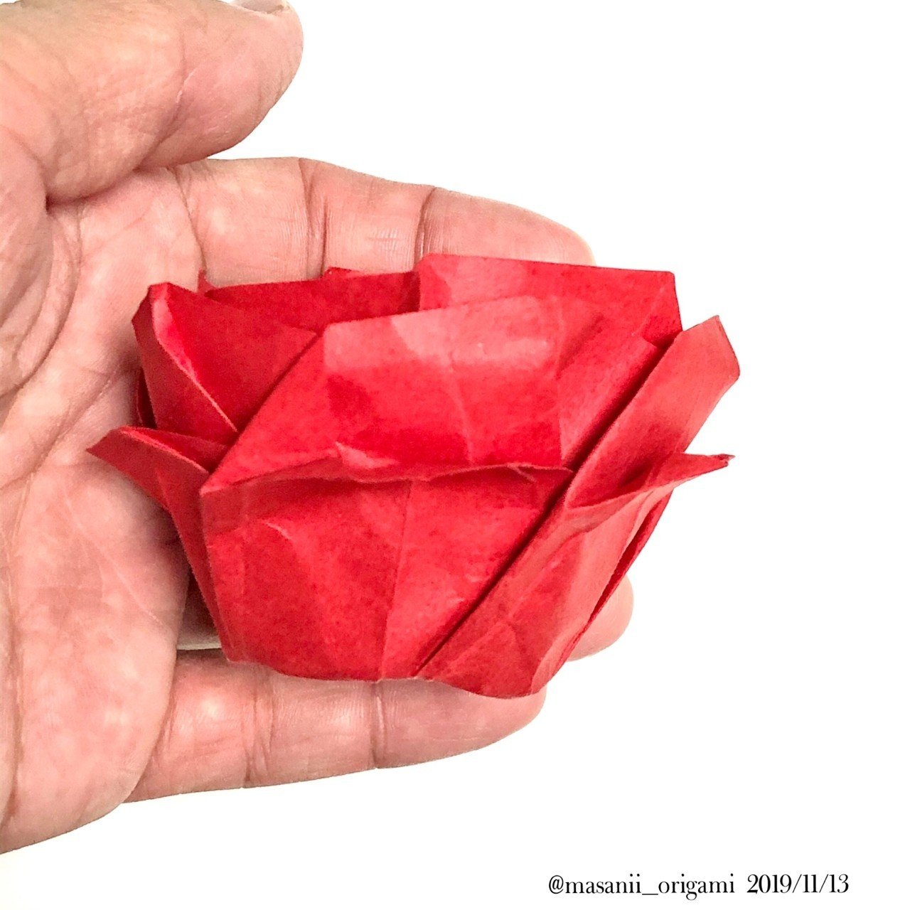 佐藤ローズの最高峰「ロゼット咲きのオールドローズ」に挑む。｜まさにぃ