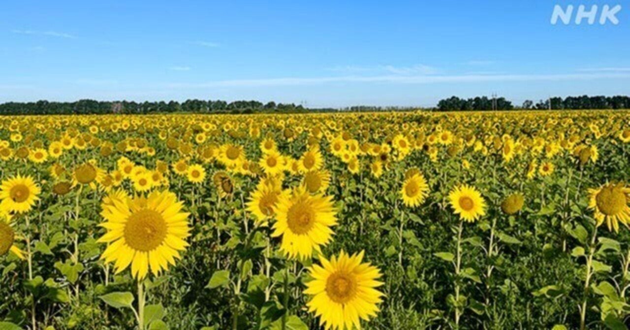 「『負け組』応援団」でいいじゃない|東野篤子