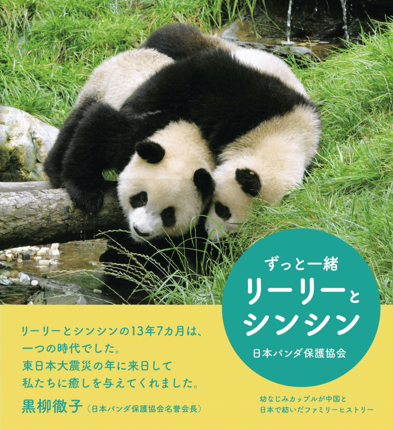 リーリーとシンシン 上野動物園 ポストカード 本 ポストカードセット | 上野動物園リーリー・シンシン | MINTSUKU
