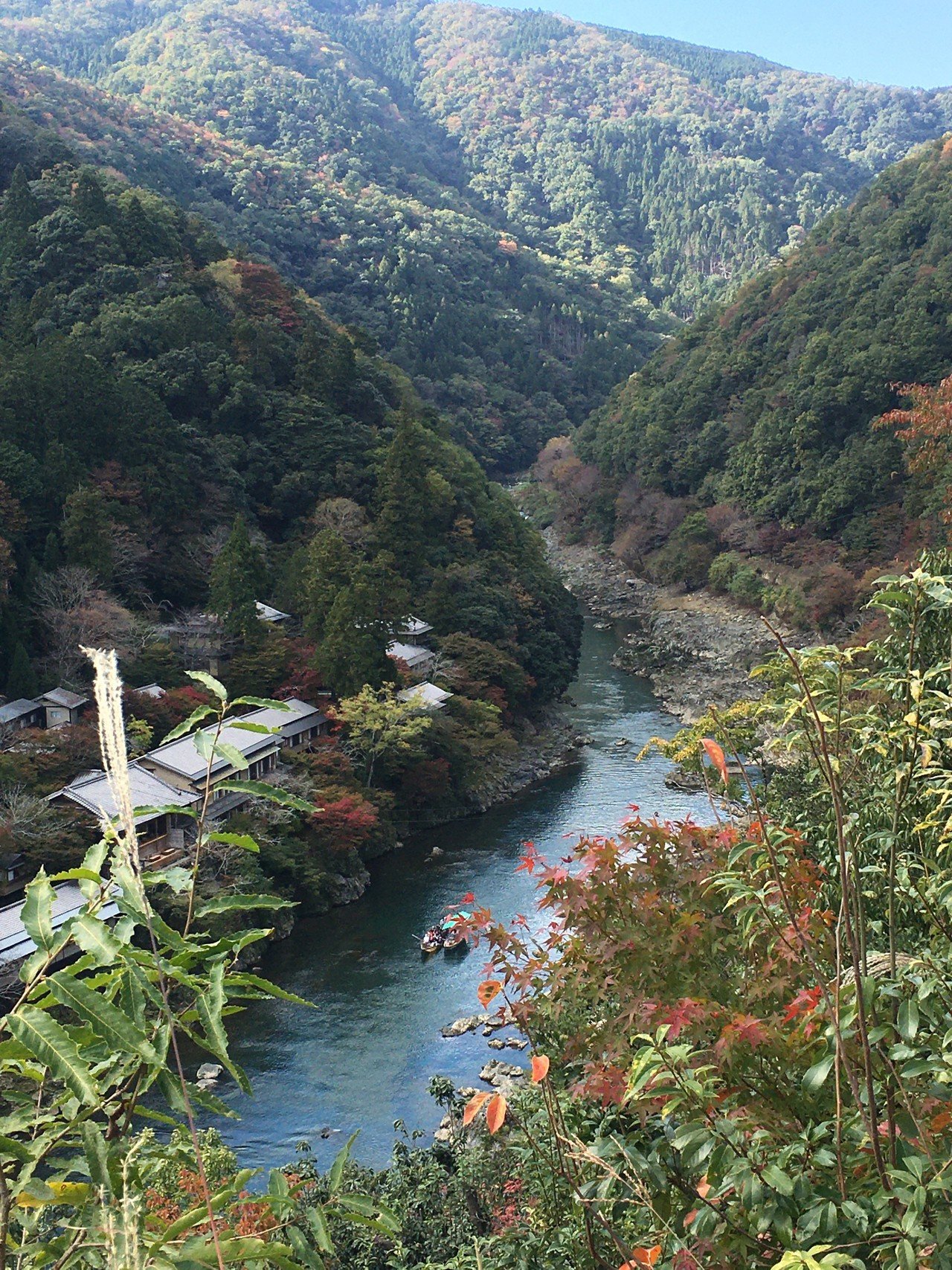 【未開封】丸久小山園 「青嵐」＋山政小山園「小倉山・先陣の昔」　4点セット 京都嵐山の小倉山に登りました。 - YouTube