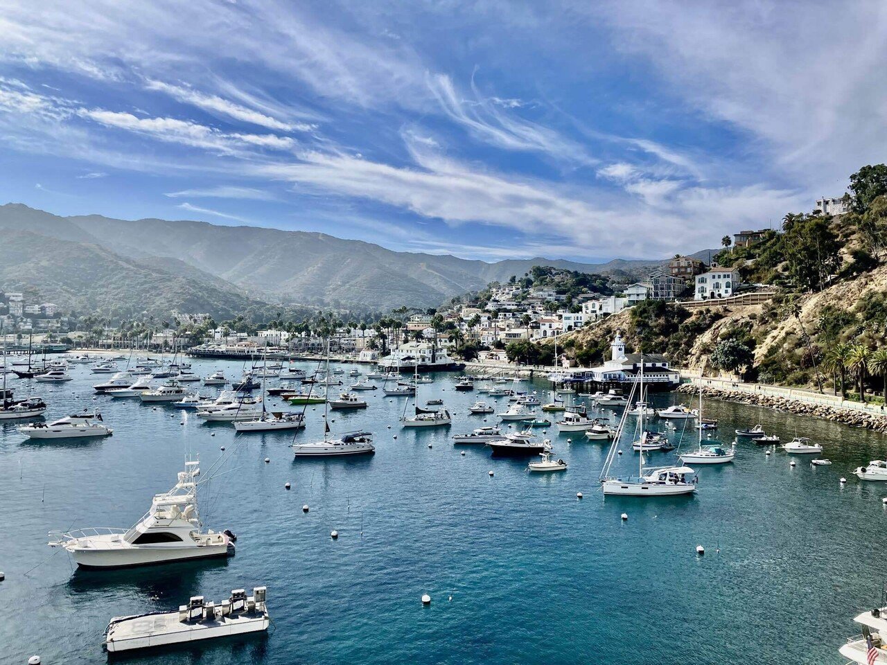 南カリフォルニアの日帰りリゾート、サンタカタリナ島 | 30代の