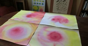 植物への新しいまなざし ゲーテ=シュタイナー的植物観察術 Amazon.co.jp: 植物への新しいまなざし ゲーテ＝シュタイナー的植物