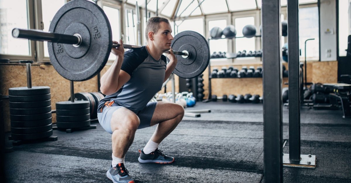 ベルトスクワット 20kgプレート付き スクワット 筋トレ ウエイト器具