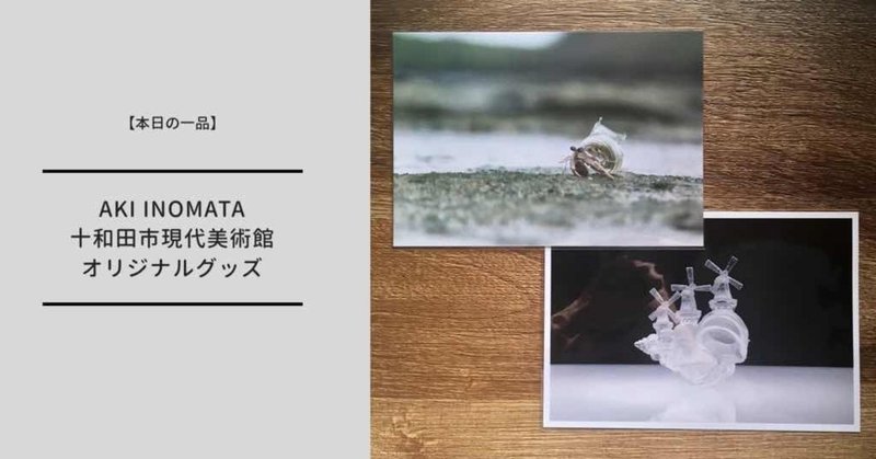 【本日の一品】十和田市現代美術館でAKI INOMATA作品を堪能したの巻