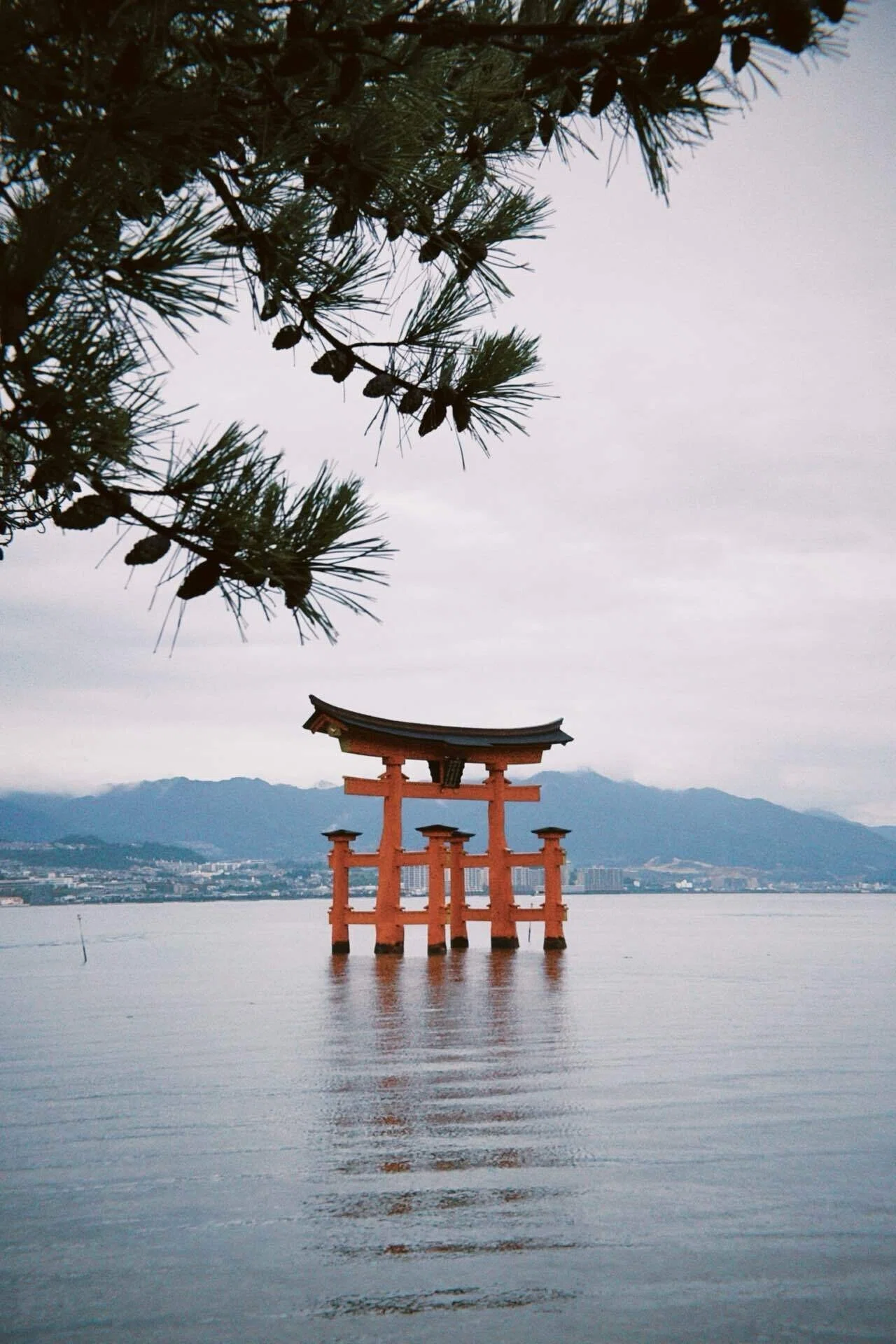 生写真確認用part3 写真集】iPhoneだけでひたすら厳島神社｜さざなみあやめ