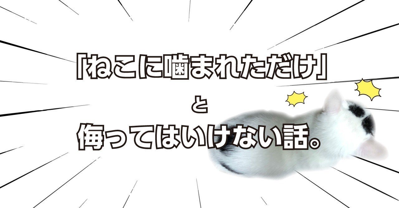ねこに噛まれただけ と侮ってはいけない話 みきちむ Note ねこに噛まれただけ と侮ってはいけない話 みきちむ Note