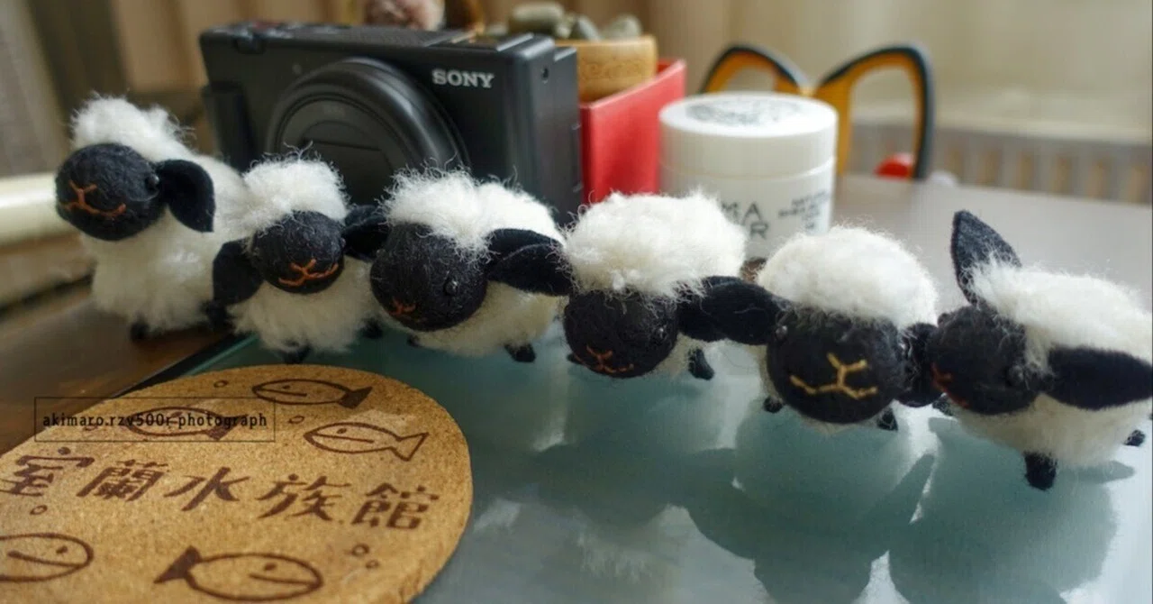 ひつじさん増殖しました｜めりー