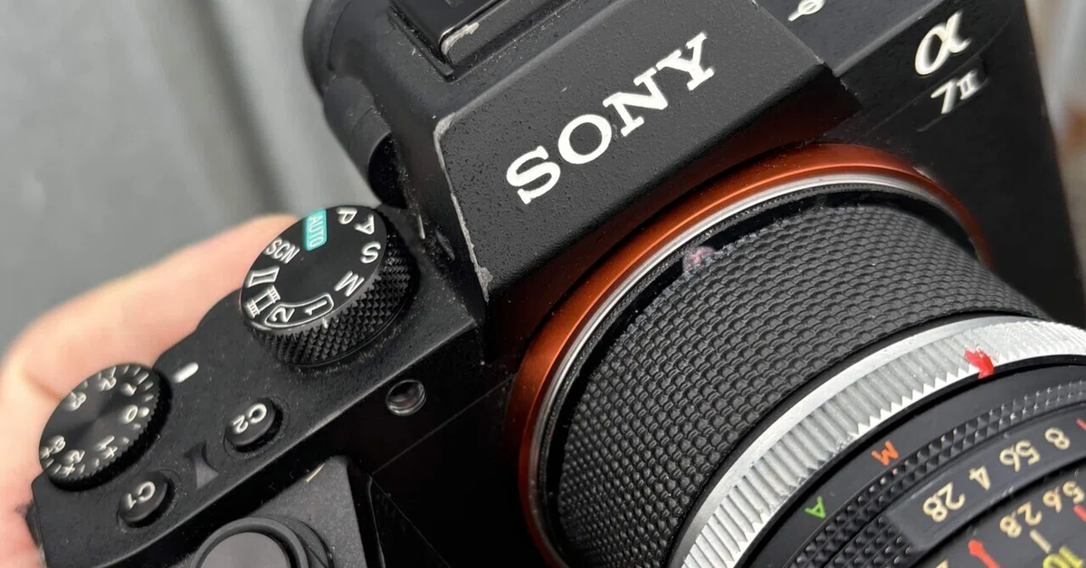 SONY α7ii × オールドレンズ｜けいふ