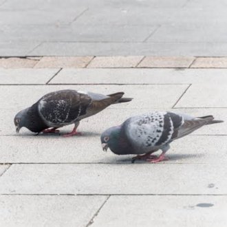 トップに移動