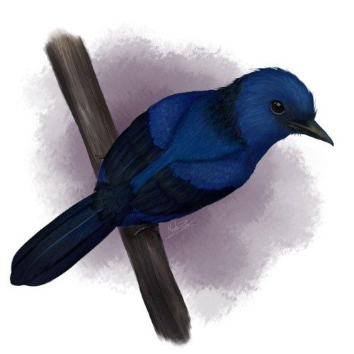 第643回 青く光る野鳥の化石 翆野 大地 Note 第643回 青く光る野鳥の化石 翆野 大地 Note