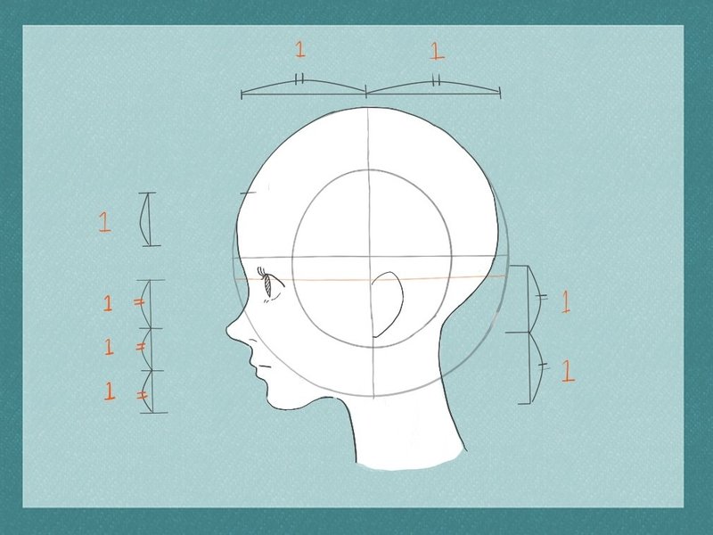 横顔のコツ ２ 奇麗な横顔の描き方 人体編 イラストlabo 能登ケイ Note