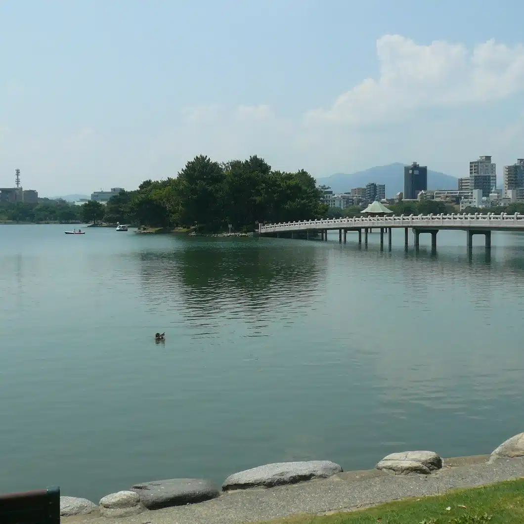 haneusagi(amano akimi)
