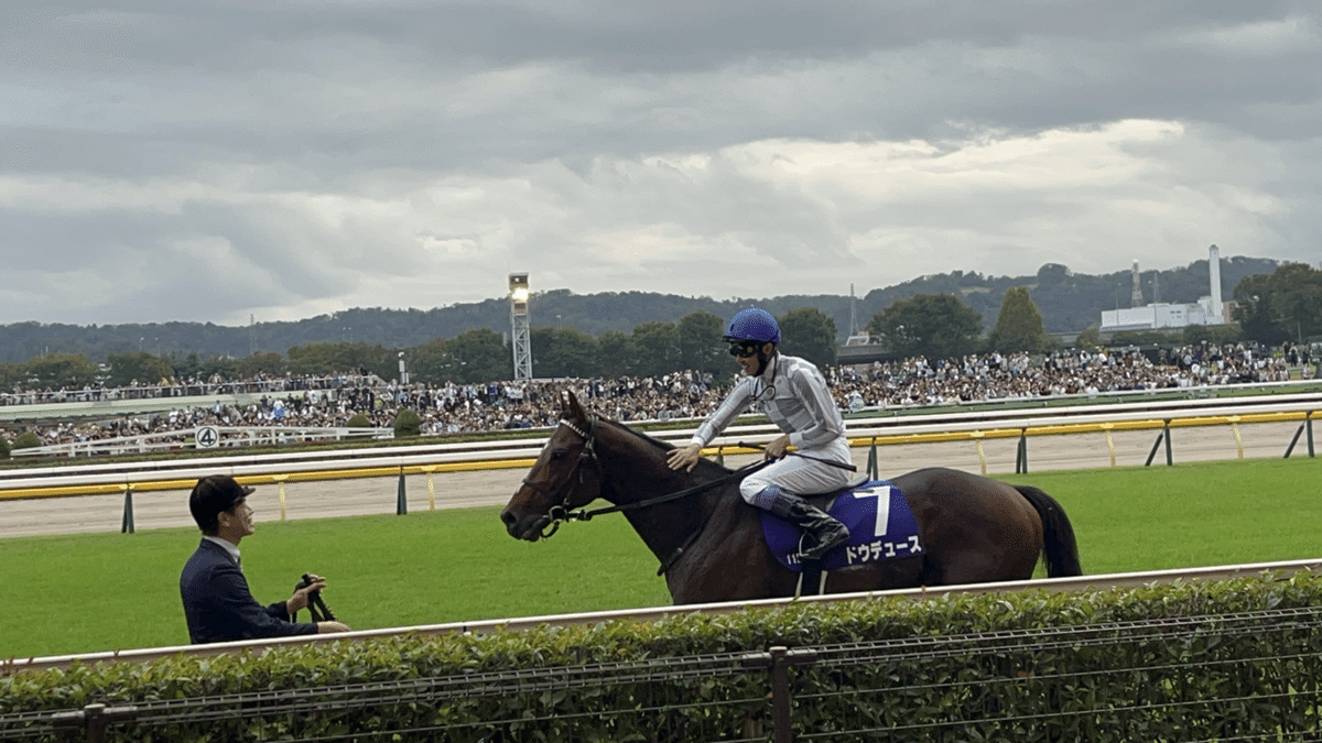 地藏さんの現地競馬(天皇賞秋2024編)｜じぞさん