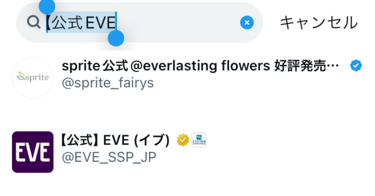 アカウント Chaosアカウントの作成方法 [OakCorp.jp]