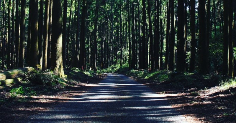 毎日エッセイ3 山神隧道 ダイセンブ Note