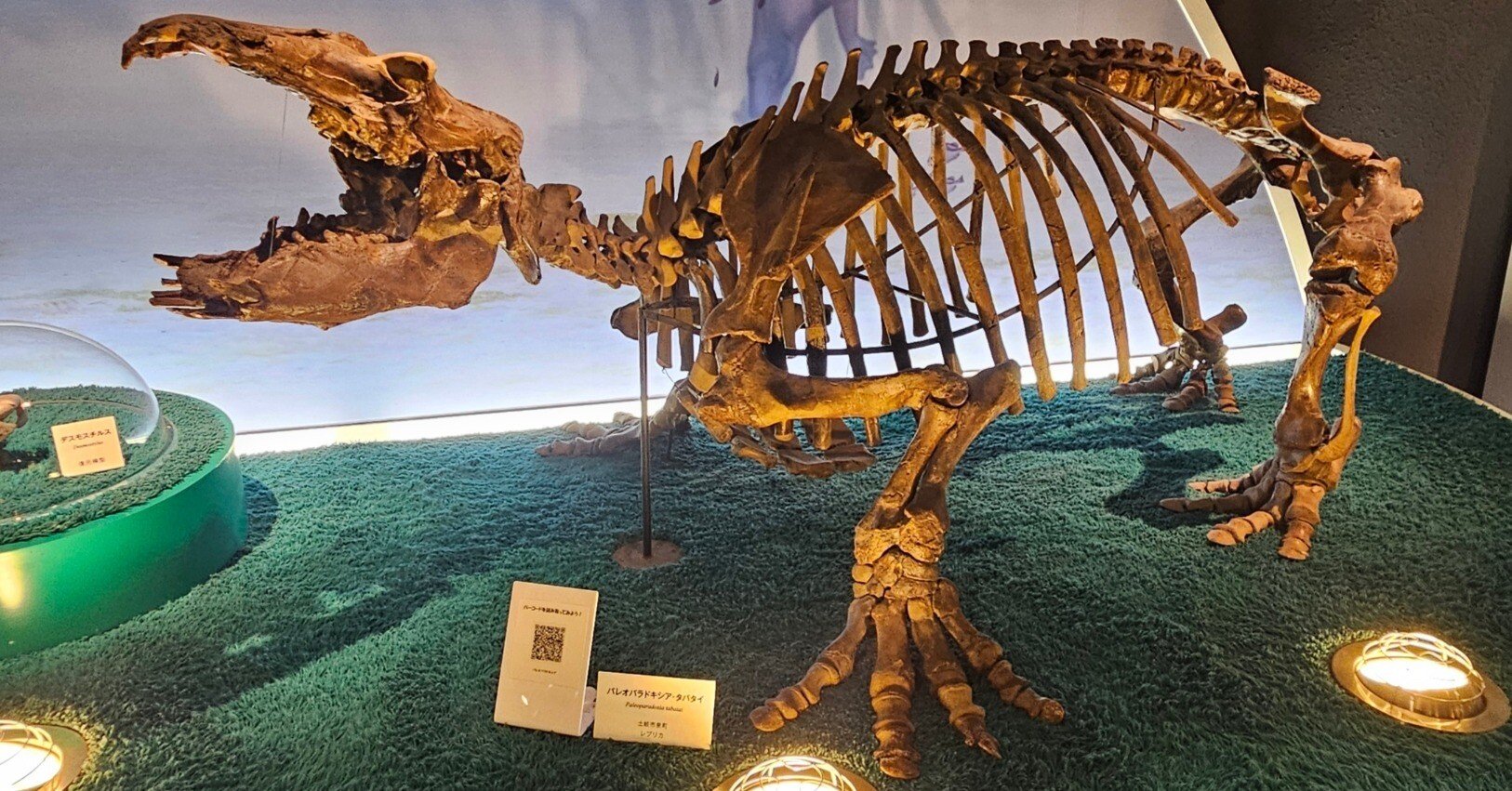 46c58d54ec56e015b2b7ce2b49d76e