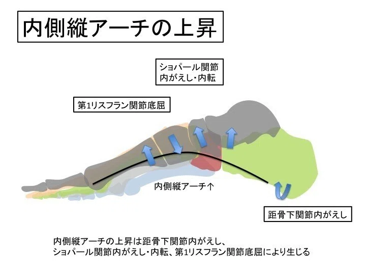 バレエ PRO Arch アーチ改善デバイス 赤 （Arch ballet studio 