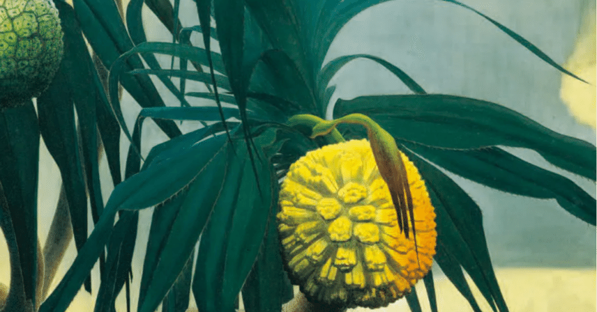 独創の画家・田中一村――最新資料から再考する生涯【東京都美術館】｜Nyori