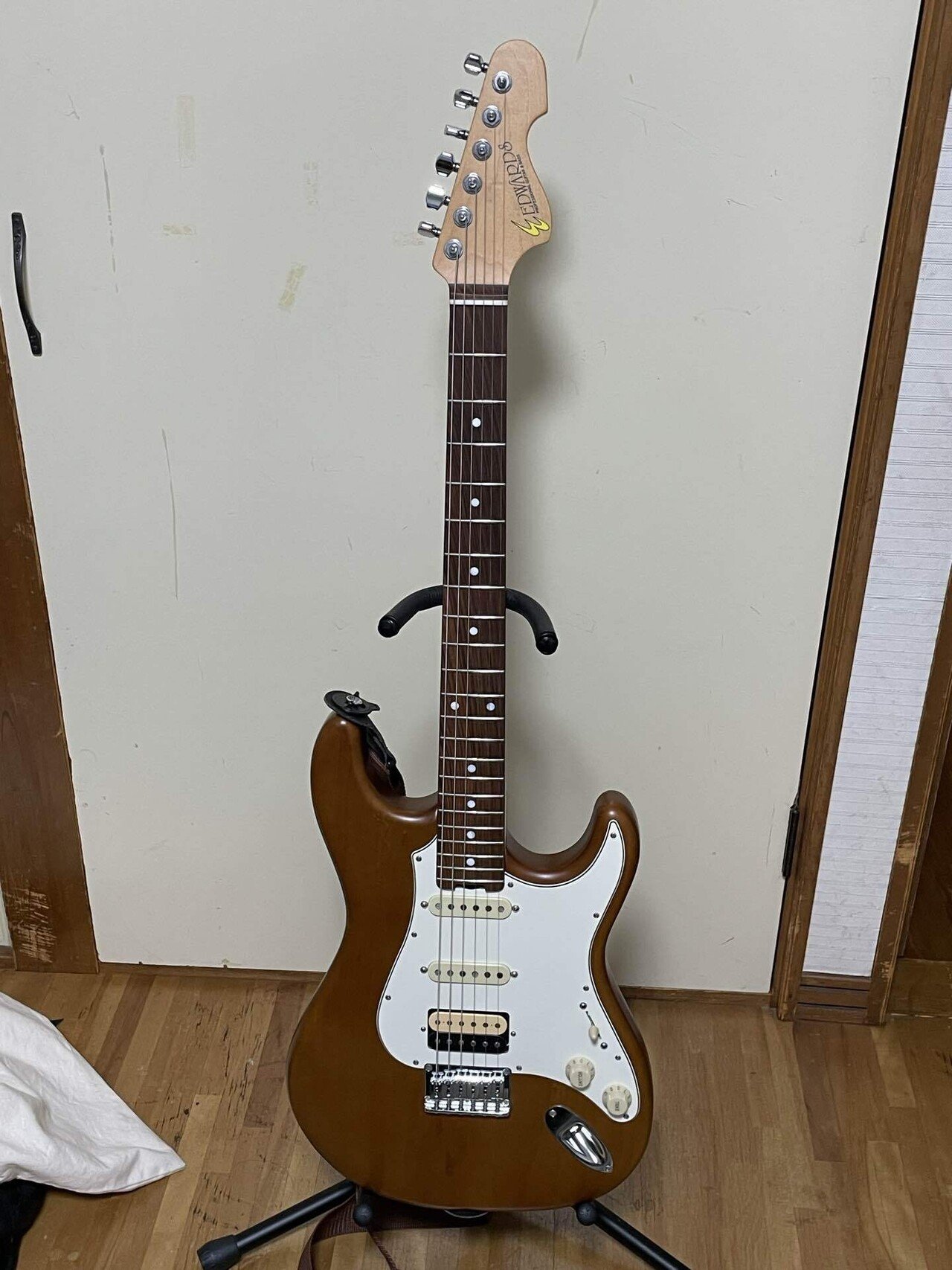EDWADRS 9mm Parabellum Bullet 滝膳充シグネイチャー 俺が持っているギターを紹介します｜カス
