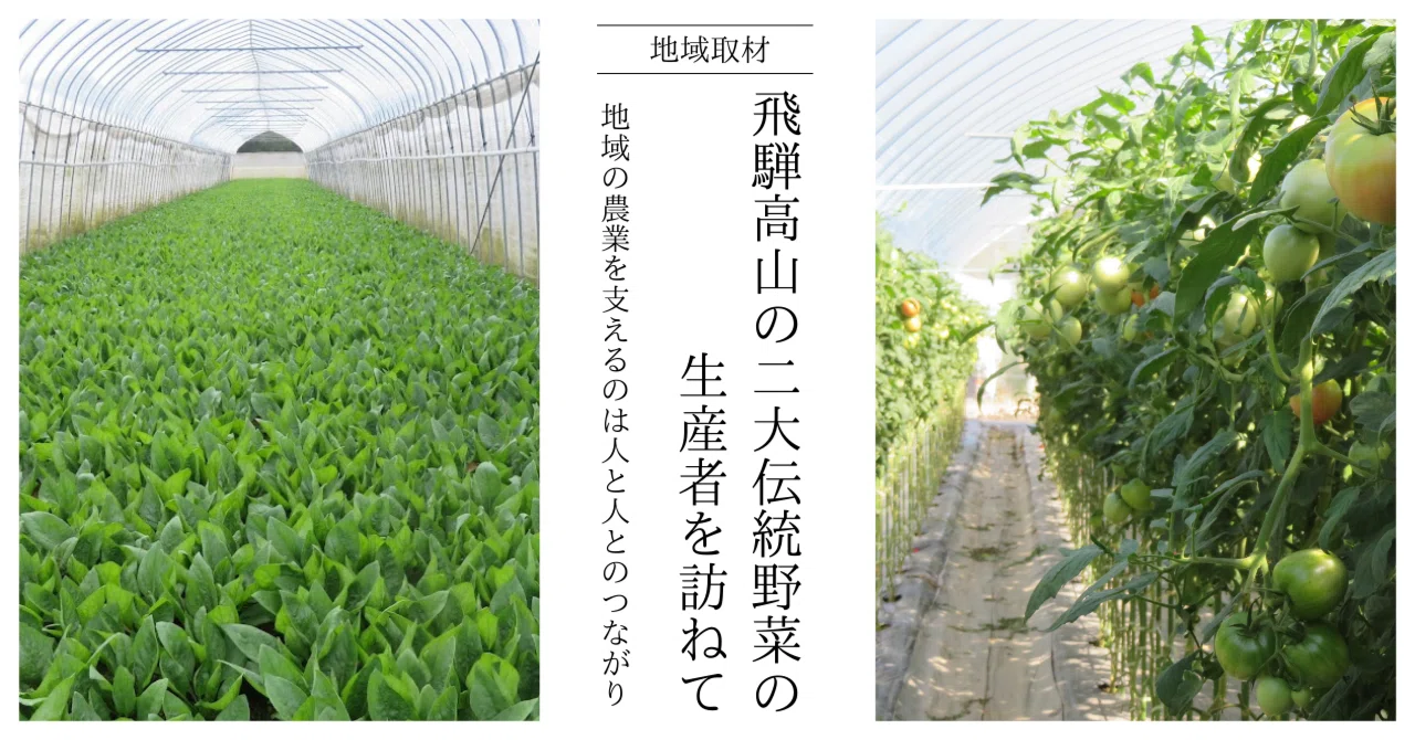 飛騨高山の二大伝統野菜の生産者を訪ねて。地域の農業を支えるのは人と