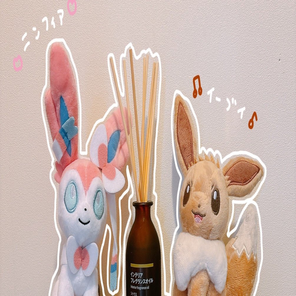 ☆本日限定おまけ付き☆ゼクロム　ニンフィア　シャワーズ　イーブイ　トドロクツキ 玄関を可愛くしたら気分が変わった｜さくら@沖縄で2人暮らし