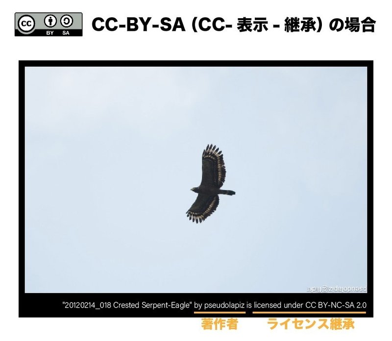ちょっと画像を引用したい 時の著作権表示まとめ 犬の餌マン Note