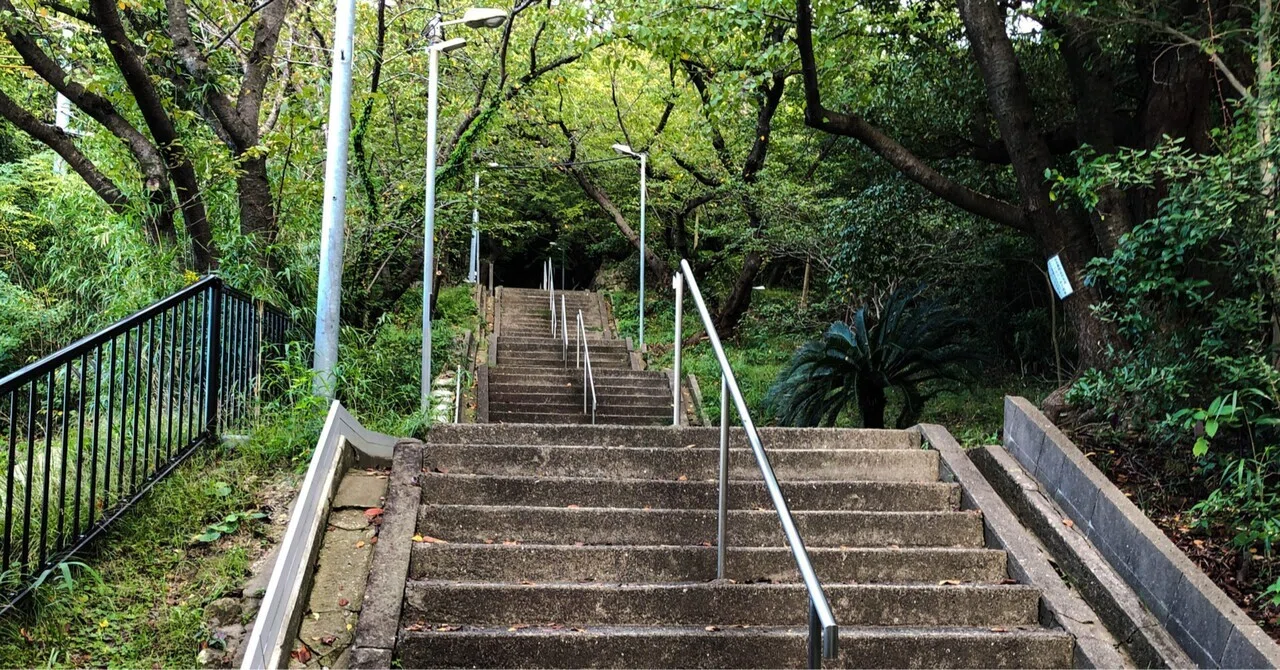 純粋経験の諸相｜哲学の練習帳
