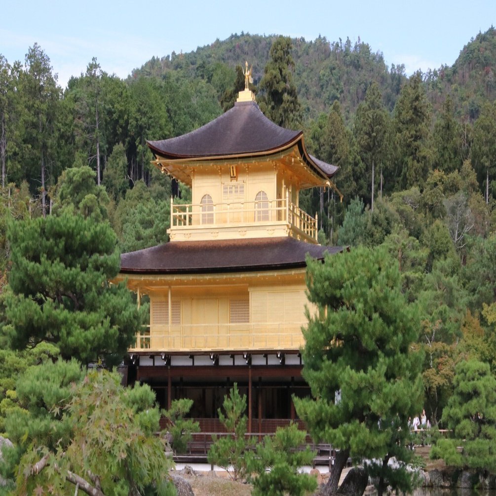 愛機（EOS80D)を修理に出すことになった話 【修正・加筆あり】｜Hazuki