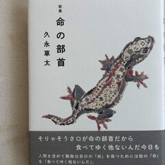 久々湊盈子『非在の星』（典々堂）｜川本千栄