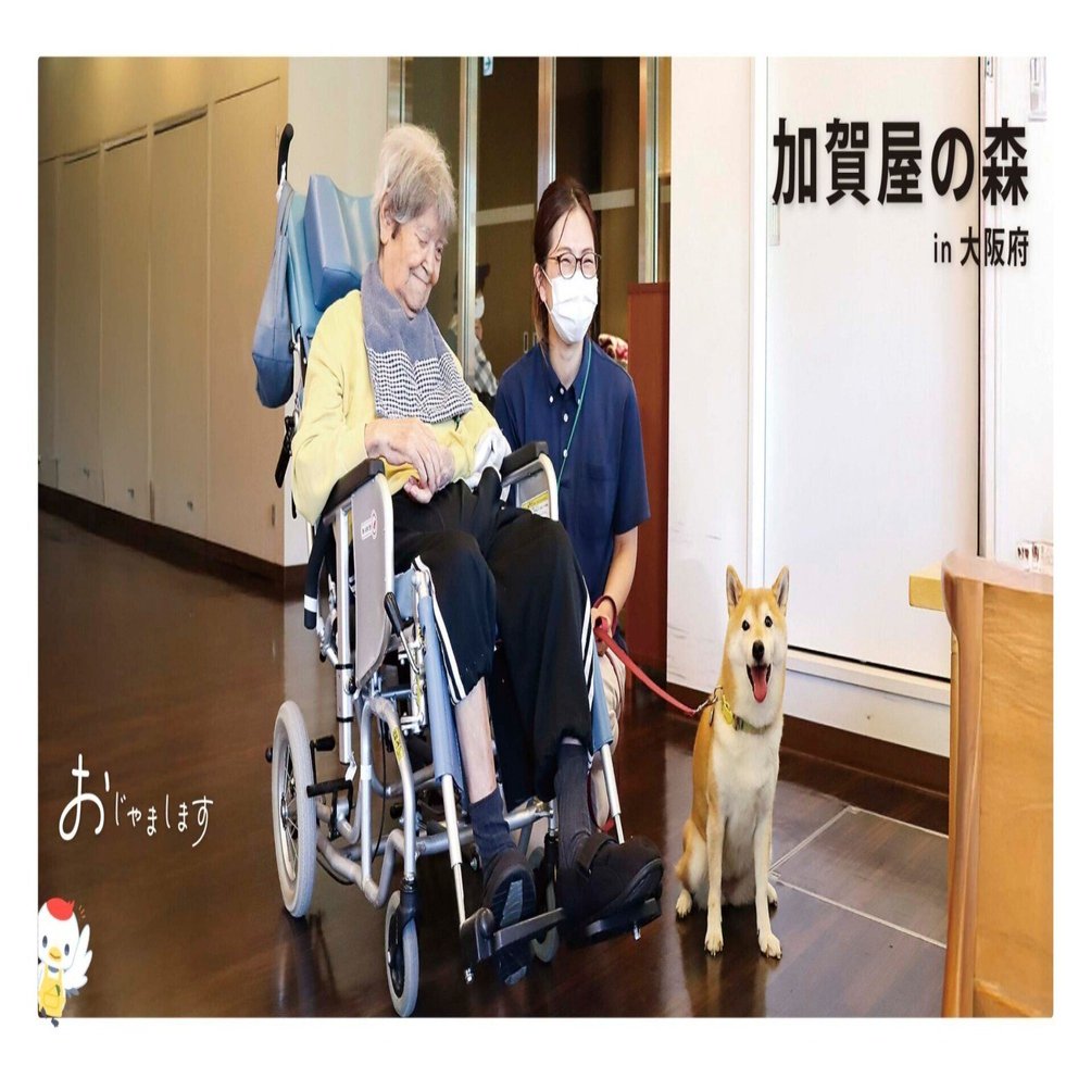 人と人を繋いでくれる、コンパニオンアニマルという存在｜日本
