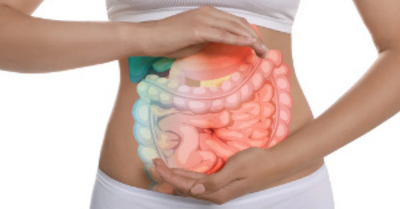 腸の健康と腸疾患の予防におけるビタミンDの重要性