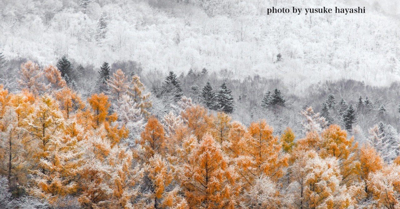 秋から冬へと｜写真家 林祐介