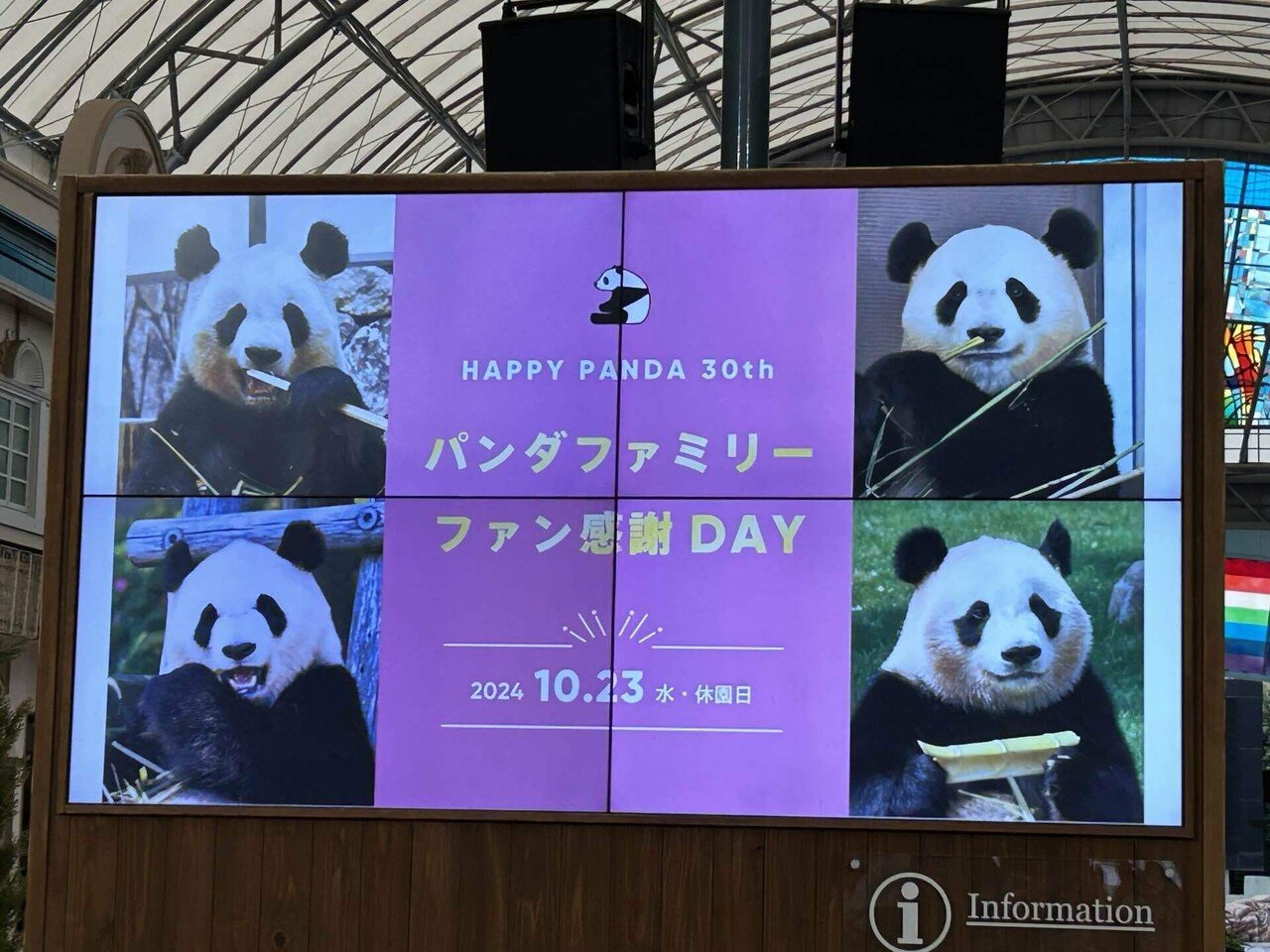パンダファミリーファン感謝DAY｜みやびぱんだ
