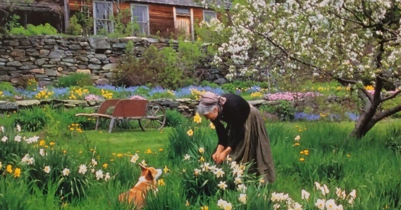 ターシャ・テューダー展に行きました｜雪花