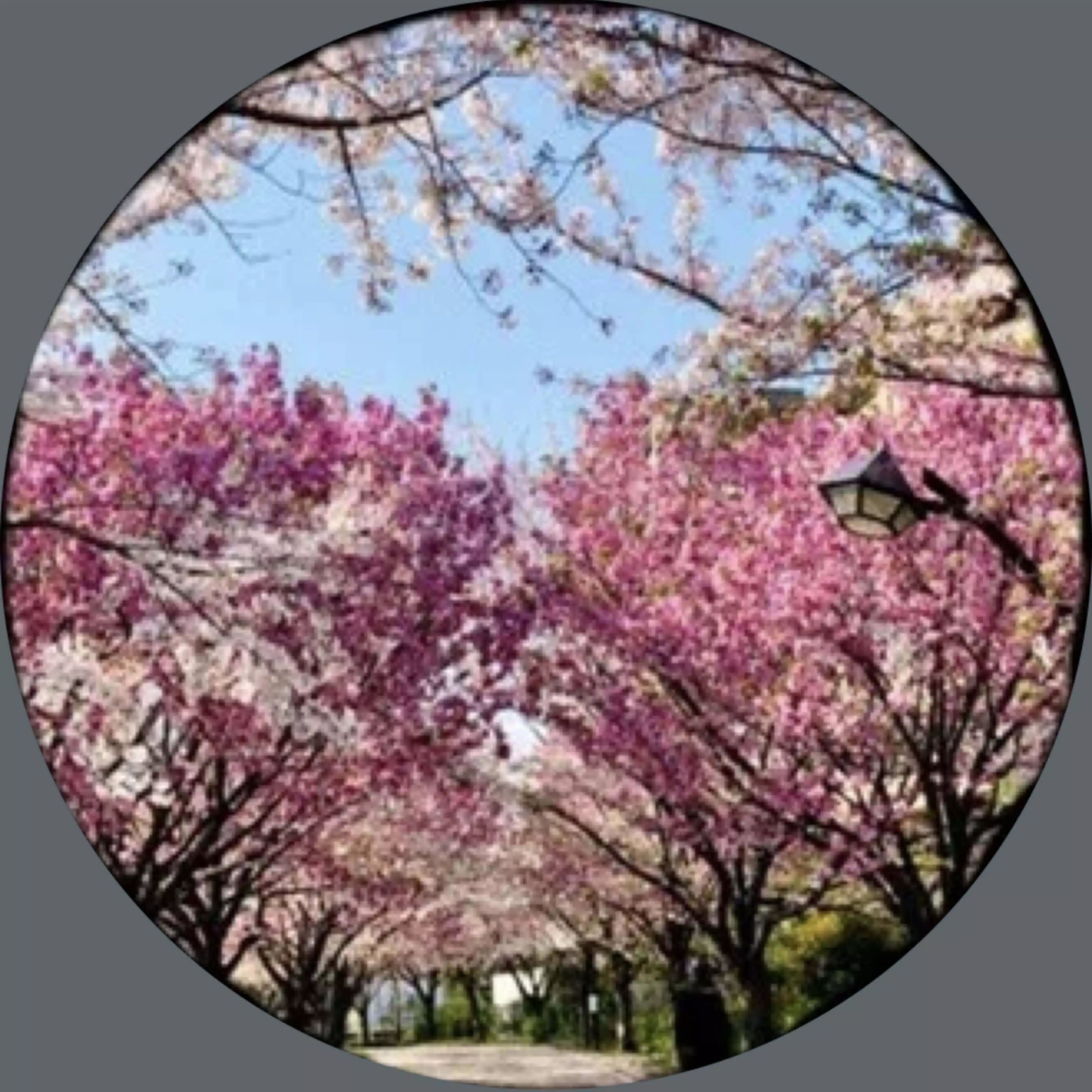 夕凪遙　　